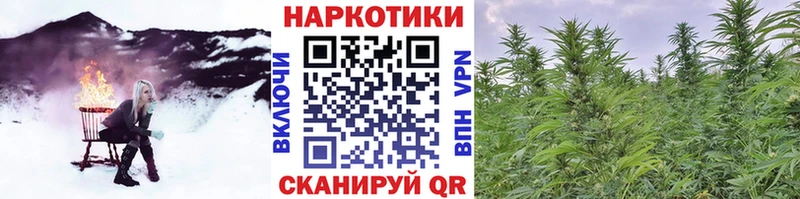 Хочу наркоту Озёрск ЭКСТАЗИ  Alpha PVP  АМФЕТАМИН  Меф мяу мяу  Cocaine 