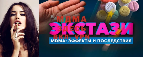 гидра Богородицк