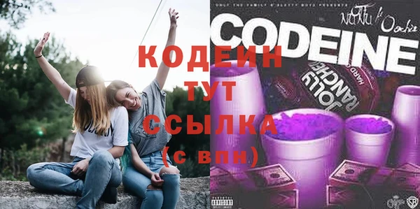 гидра Богородицк