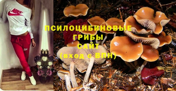 гидра Богородицк