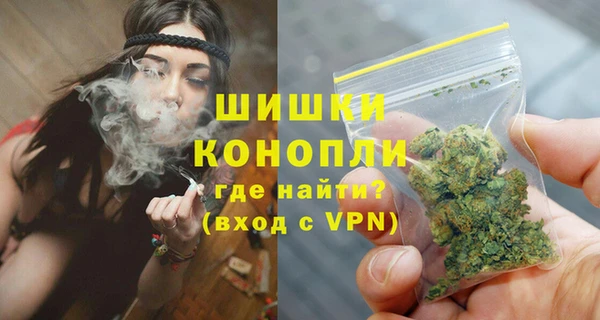 гидра Богородицк