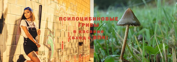 гидра Богородицк