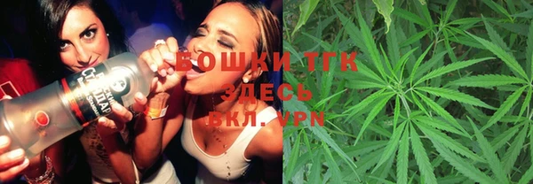 гидра Богородицк