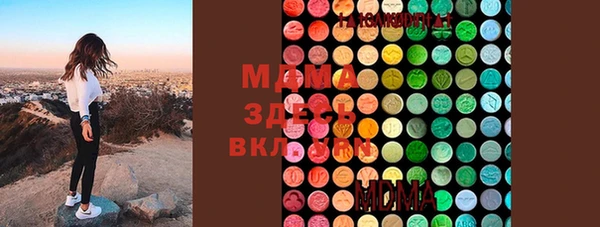 гидра Богородицк