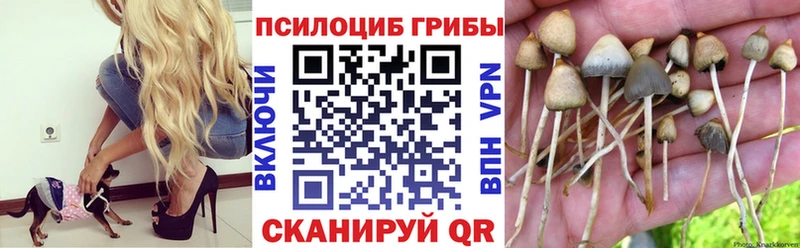 купить цена Озёрск Галлюциногенные грибы Psilocybe